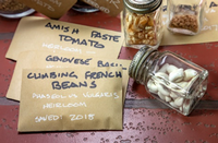 Label and store seeds in airtight containers in a cool, dark place, UC Marin Master Gardeners