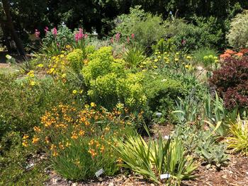 PADG Waterwise Garden by Sandy Wright