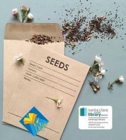 seed swap, Jan'25