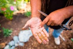 vegetable seeds