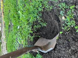 shovel soil and vetch