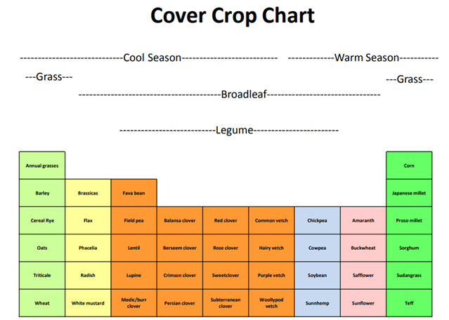 cover crops graphic