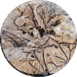 cropped circle monathrum 150 px
