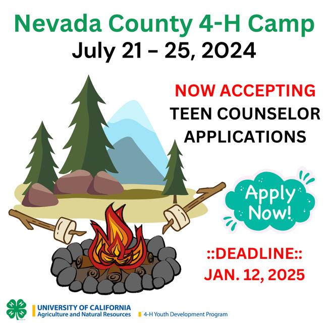 4-H Camp Counselor application