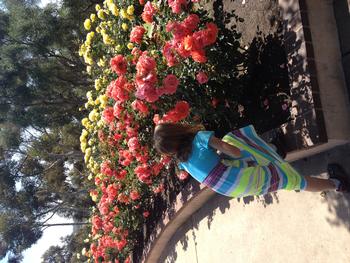 Girl kneeling down to smell a row of roses