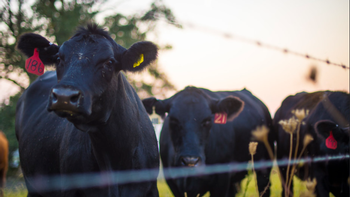 All animal raising claims including, Grass-fed and Raised without the use of antibiotics need to be approved by the FSIS.