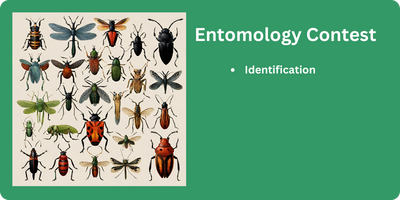 Entomology Contest