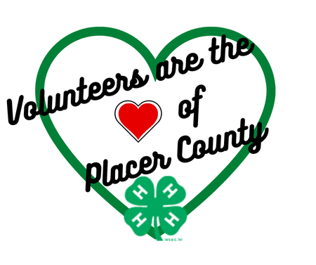 Volunteers are the of Placer County-8