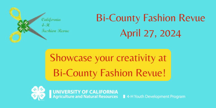 Bi-County Fashion Revue