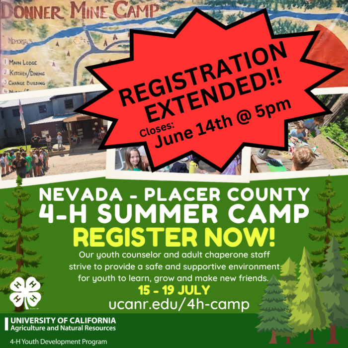 4-H Summer CAMP Extended