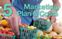 5: Marketing Plan and Costs