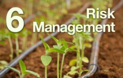 6: Risk Management