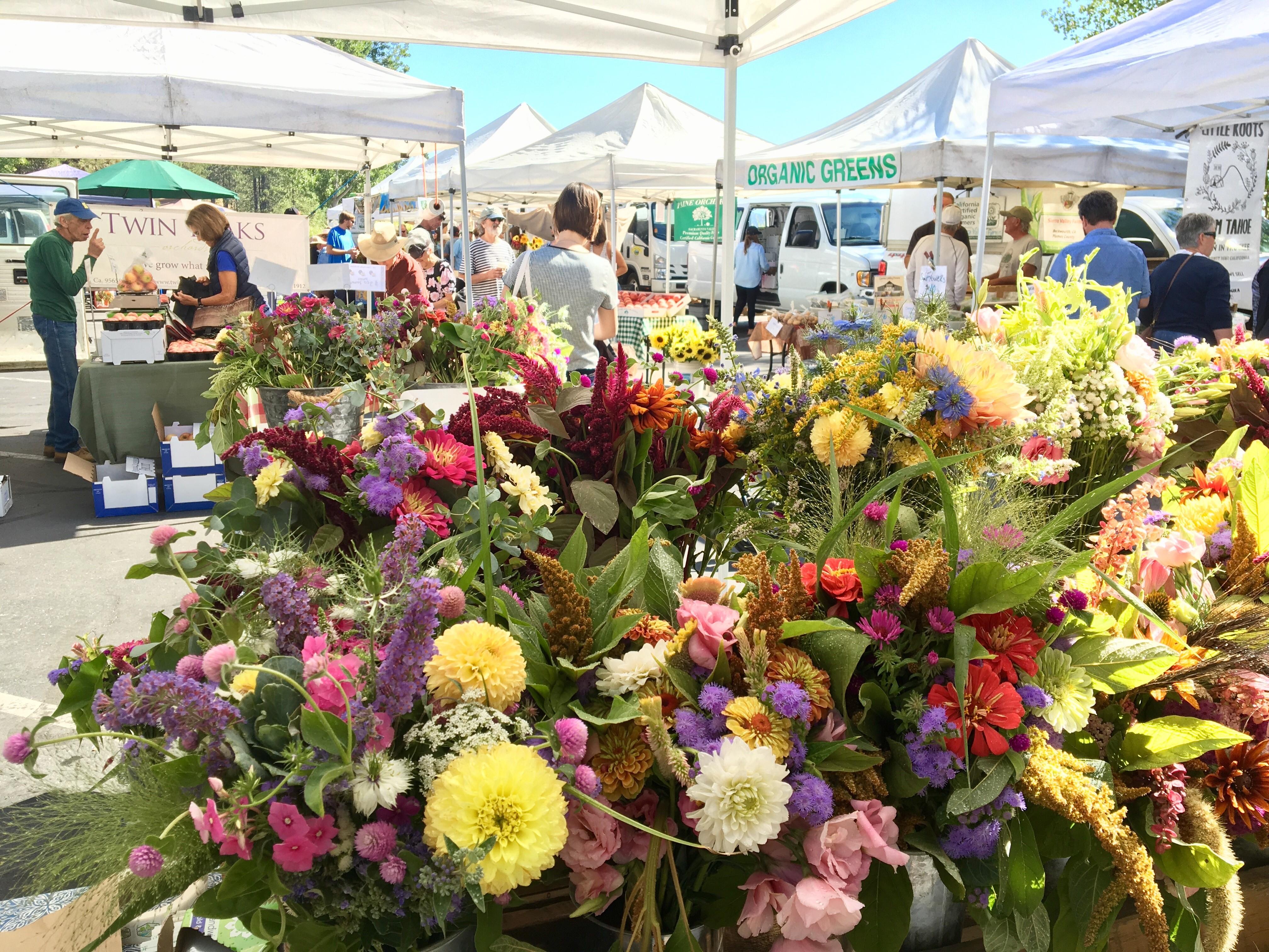 Tahoe City Farmer's Market 2018