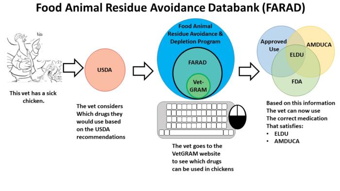 Drug Residue FARAD Big Picture 001