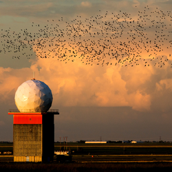 A weather surveillance radar with clouds and a flock of birds in the background.