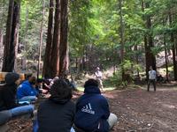 Forestry talk in the redwoods
