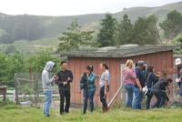 Service project for Elkus Ranch