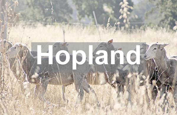 Hopland REC