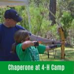 Volunteer to chaperone at 4-H Camp.