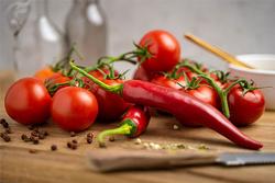 Tomatoes and Peppers