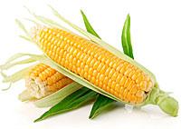 07-corn