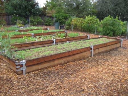 Fohc Raised Vegetable Beds Sacramento Mgs, Corners For Raised Garden Beds