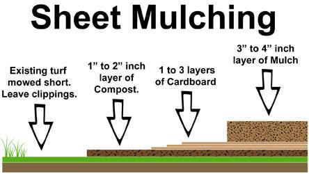 1-Sheet-Mulching2