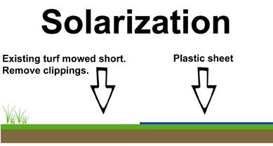 1-Solarization