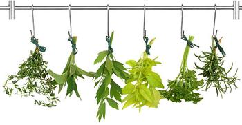 Drying herbs