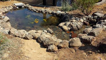 Completed pond from above (click to enlarge)