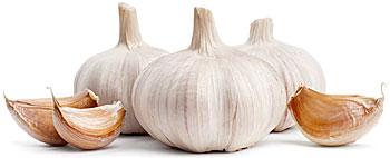 Grow garlic!