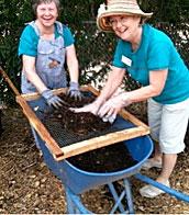 Master Gardeners sifting compost