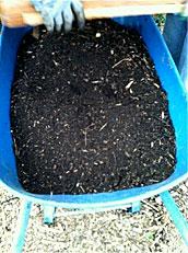 Sifted compost