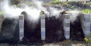 Hot compost (click to enlarge)
