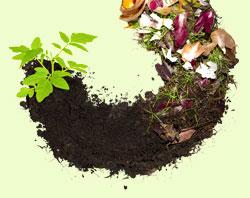 Composting Special Event