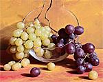 Fall grapes