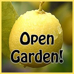 Free Open Garden