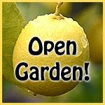 Open Garden