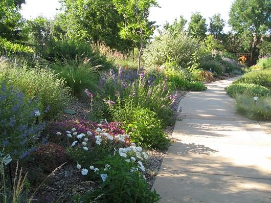 Perennial Garden