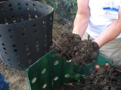 compost in hands