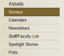 Access Survey System from Site Builder 3.0