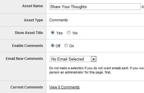 Choosing options in the comments asset
