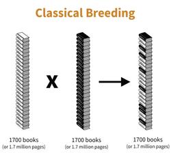 Classical Breeding