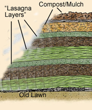 lasagna garden diagram