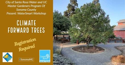 Climate Forward Trees zoom workshop. July 19, 6:00pm - 7:30pm. Registration required.