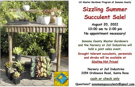 Sizzling Summer Succulent Sale, August 20 10:00 am - 2:00 pm at Jail Industries 2254 Ordinance Road, Santa Rosa. Questions sonomasucculents@gmail.com