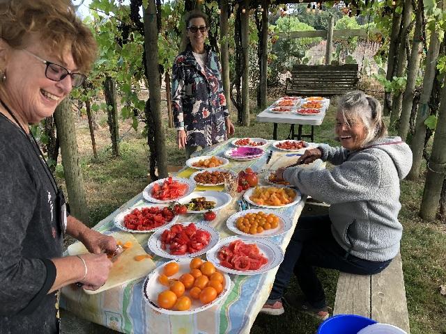 Tomato tasting at Cathy Conover’s. Photo by Sue Lovelace