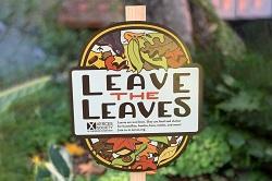Leave the Leaves! Xerces Society