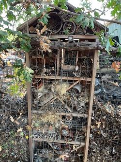 A bug hotel will shelter beneficial insects over the winter and encourage 
“good” insects that feed on garden pests.