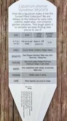 Helpful tags give important information about climate zones where a plant will thrive. Master Gardener Fay Mark/Prickett’s Nursery.